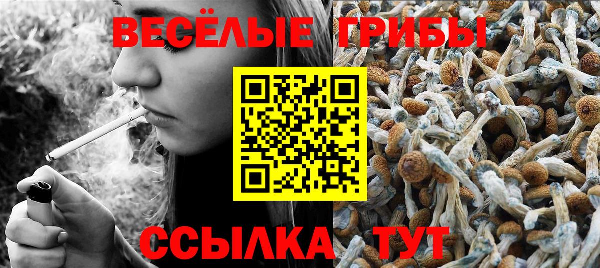 Псилоцибиновые грибы GOLDEN TEACHER Гусиноозёрск