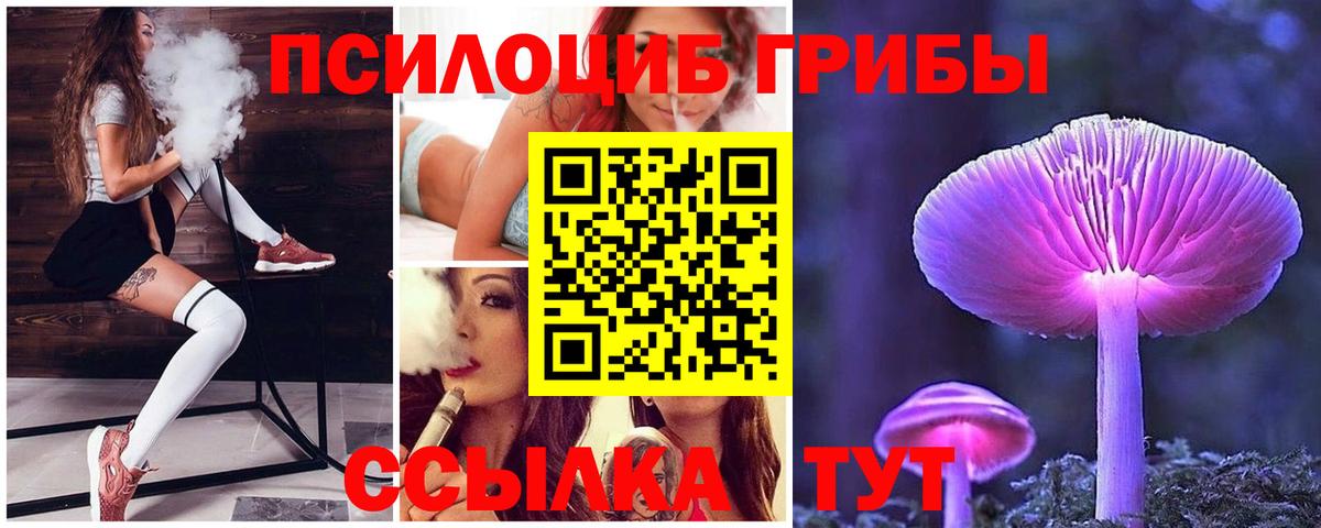 Галлюциногенные грибы Psilocybe  Вход с VPN  Гусиноозёрск 